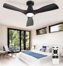 42-Inch Ceiling Fans with Lights