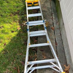  Werner Ladder 
