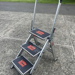 Little Giant Ladder