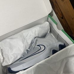 Brand New Nike Giannis Immortality 4 Basketball Shoe