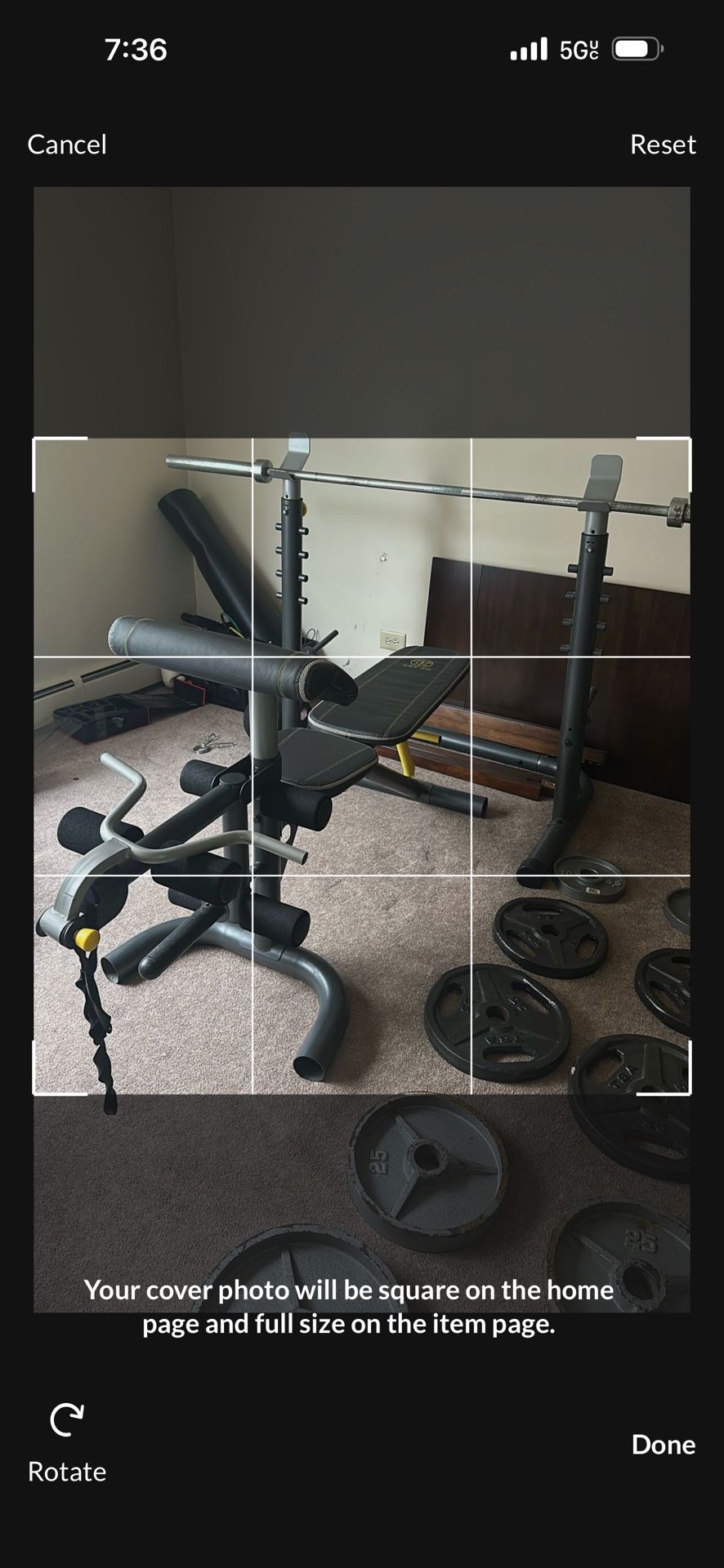 Weights, Bench And Bar