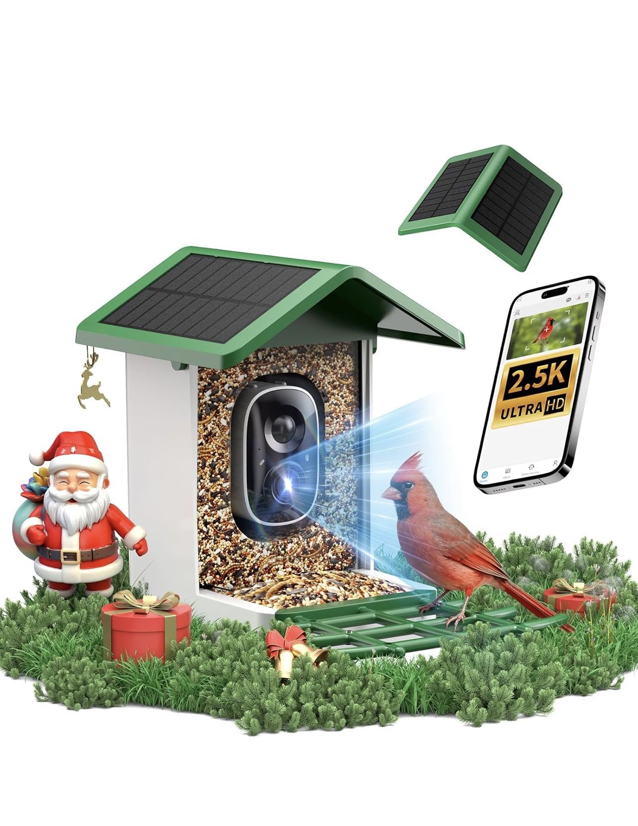 Bird Feeder Camera 
