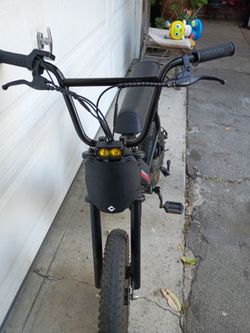 MC fox  m19