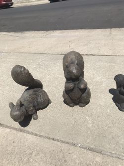 $18. Squirrel various sizes and positions