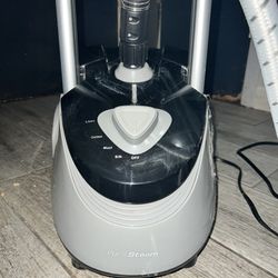 Standing Steamer For Clothes