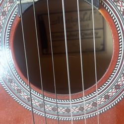 Marigold acoustic guitar model 6020