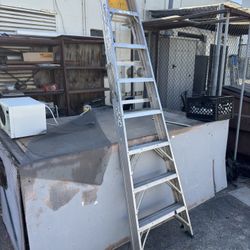 Ladder 8ft