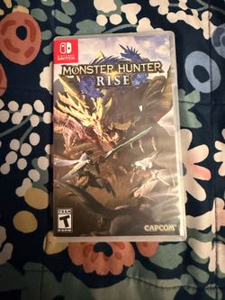 monster rise hunter switch