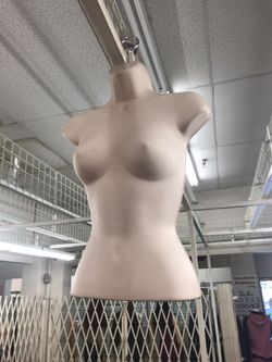 Mannequin torso