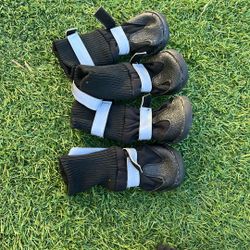 Dog Shoes 