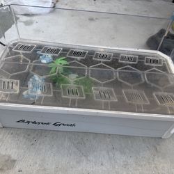 Small Turtle Tank with Basking Area & Lid – Good Condition 🐢