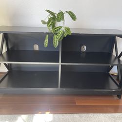 Small Tv Stand/Book Shelves