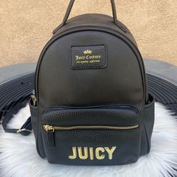 Juicy couture Bagpack