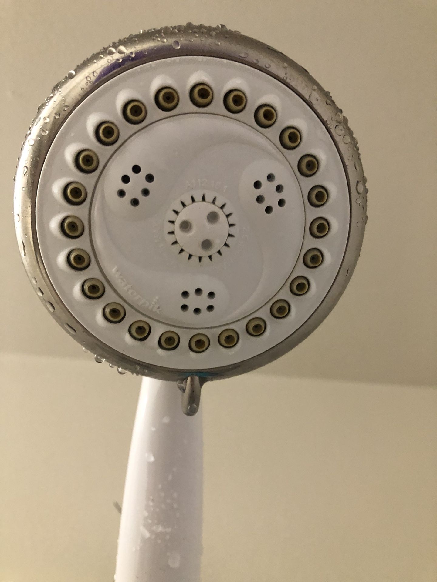 Handheld Shower With Hose