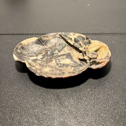 Chinese Antique 1900s Carved Tortoiseshell Soapstone Nut Trinket Dish Tray