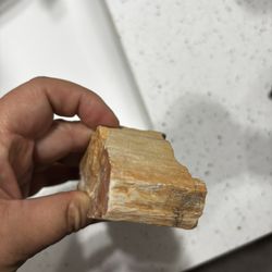  petrified wood, Natural Stone