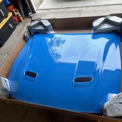 OEM 2023 MUSTANG GT HOOD