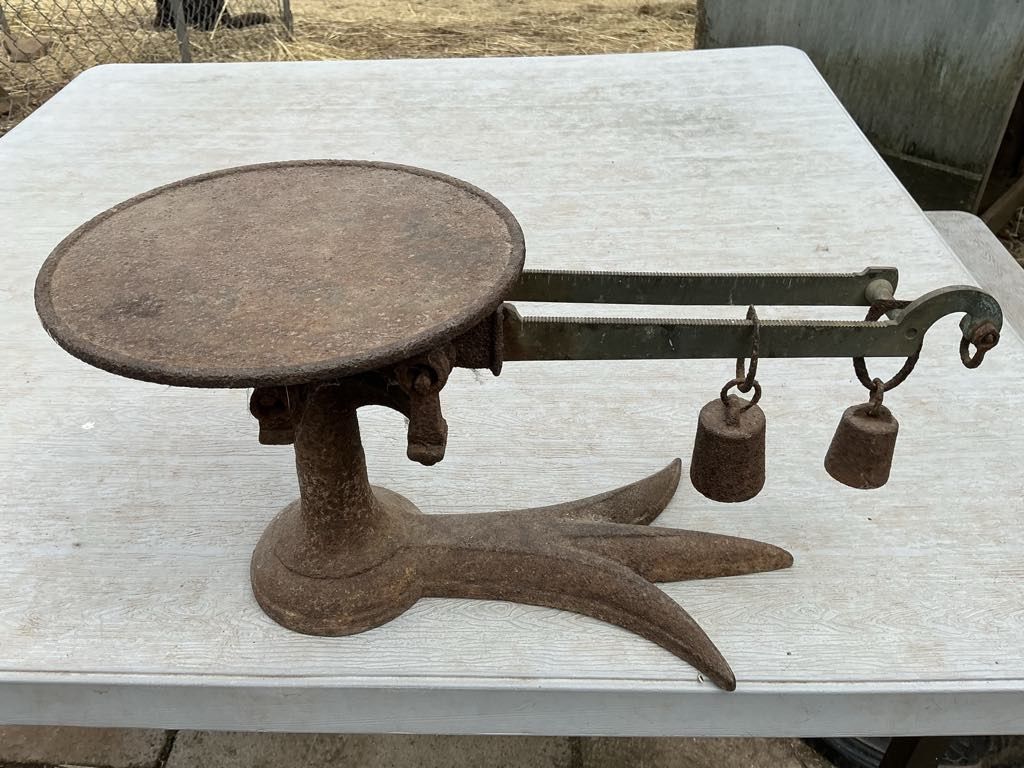 Cast Iron scale apothecary candy store merchant crows 3 toe