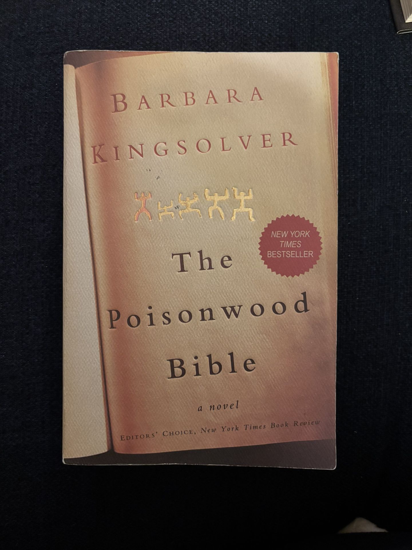 The Poison wood Bible