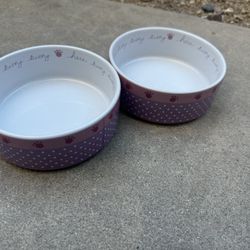 Pet Bowls 