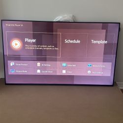 Samsung Pro Tv 55 Inch