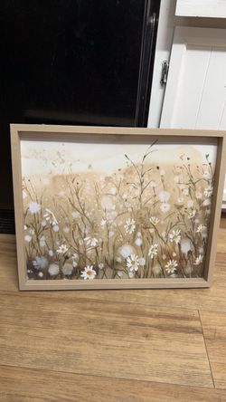 Framed Daisy Wall Art