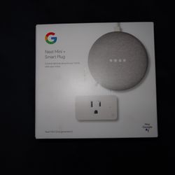 Google Nest Mini and Smart Plug