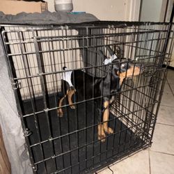 Large Dog Crate 