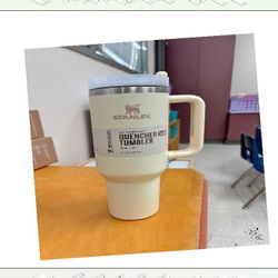 Stay Quenched in Style with Stanley Cups in Various Color Selections share person