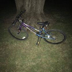 24” Mountain Bike 