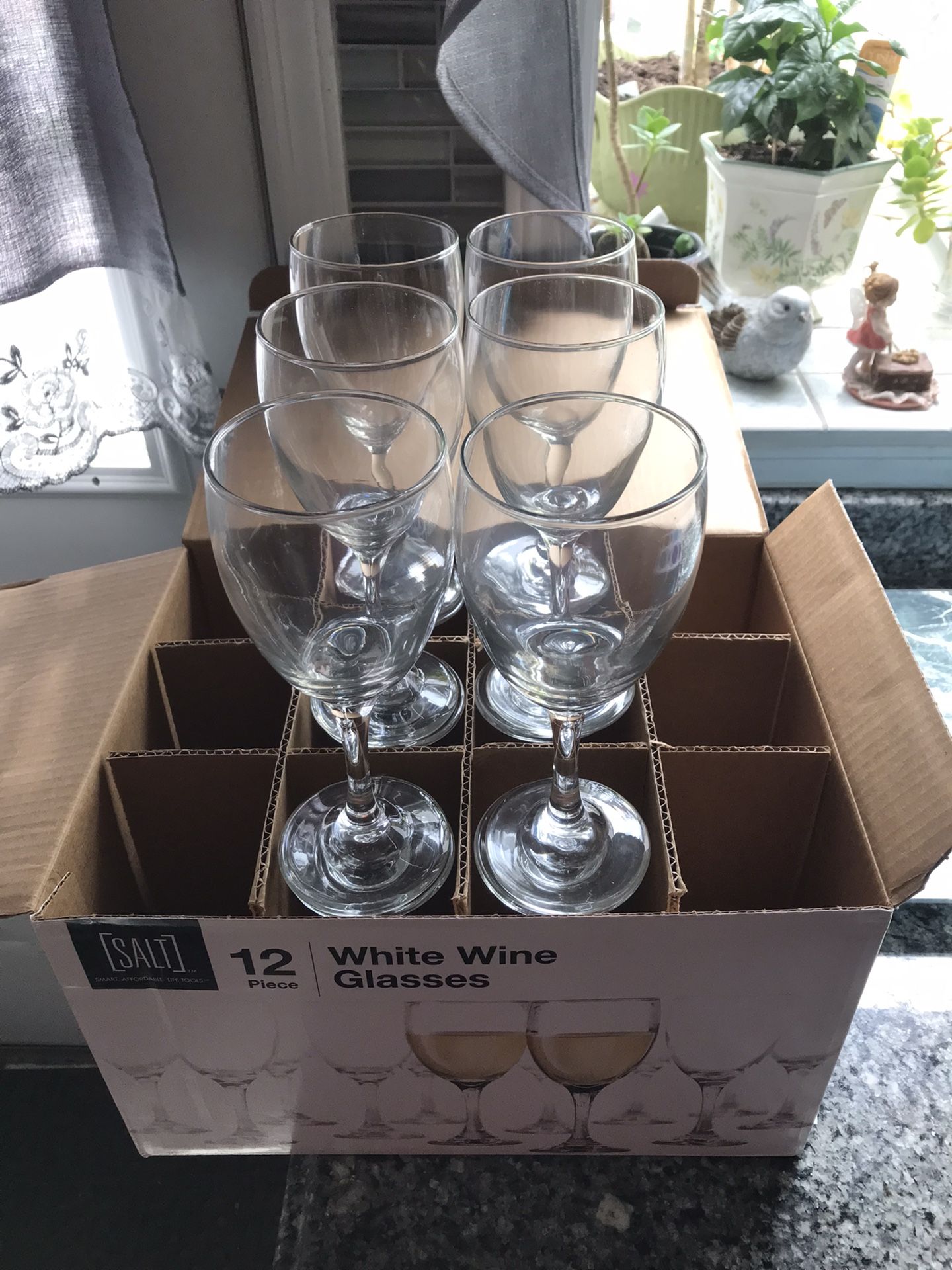 SALT 12 Piece White Wine Glasses 10oz