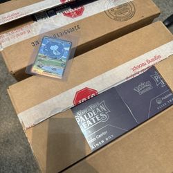 Pokemon Paldean Fates And 151 Cases
