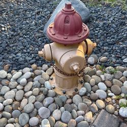 Real Fire Hydrant Mueller 
