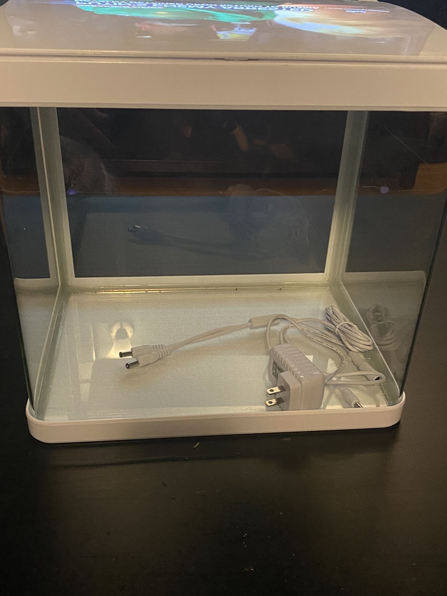 5 Gallon Fish Tank
