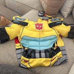 Bumble Bee Costume