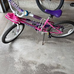 Girls 20 Inch Wheel Bike