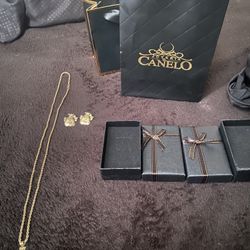 10k Gold Chain With Pendant & Moneybagg Earrings 