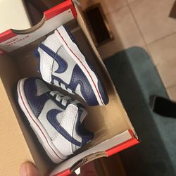 NIKE DUNKS 2C 