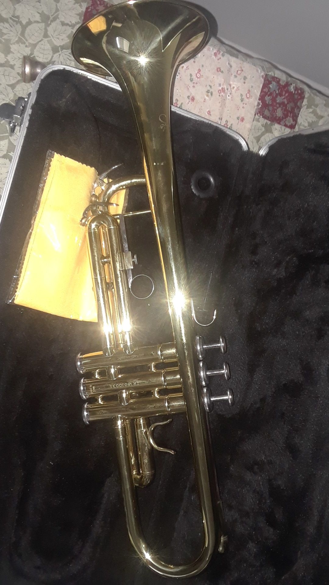 Vendo una trompeta semi nueva para ahora.