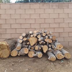 Firewood 