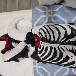 Kids clown costume