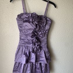 Brand New Woman’s BCBG MAXAZRIA brand Purple Dress Up For Sale 