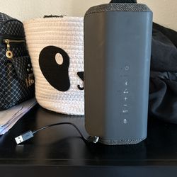 Sony XE300