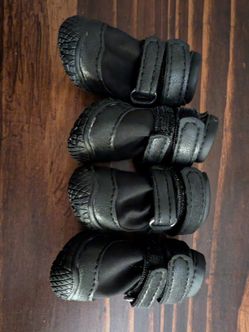 Dog Boots for Small Dog