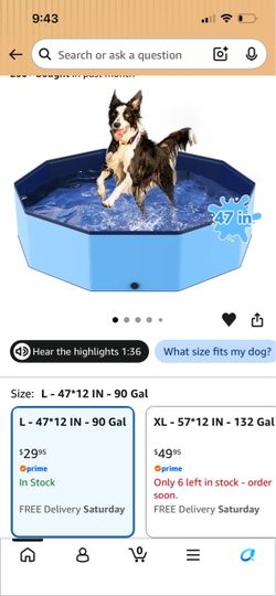 Dog pool