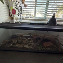 60 Gal Breeder Tank! Reptile Or Fish!