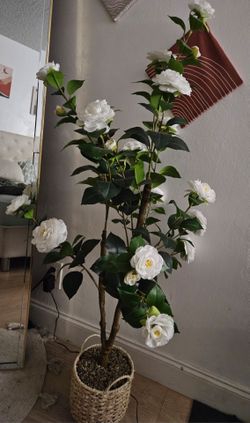 Artificial White Camellia Tree in Basket