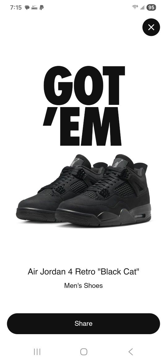 Black Cat 4's Jordan