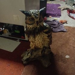 Vintage Chalkware 25-in Sitting Great Horned Owl