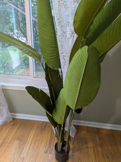 Tall artificial banana plant